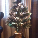 My Christmas tree just burt out